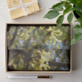 Papier Mousseline Fleurs à puces de sorcière (Cadeau)