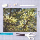 Papier Mousseline Fleurs à puces de sorcière (Artisanat)