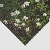 Papier Mousseline Fleurs blanches de printemps en forêt (Détail)