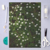 Papier Mousseline Fleurs blanches de printemps en forêt (Artisanat)