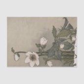 Papier Mousseline Fleurs blanches par Eugene Grasset (Recto)