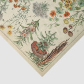 Papier Mousseline Fleurs Botaniques Annuelles Françaises Papier Tiss (Détail)