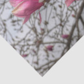 Papier Mousseline Fleurs d'arbre de tulipe (Détail)