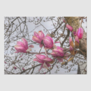 Papier Mousseline Fleurs d'arbre de tulipe