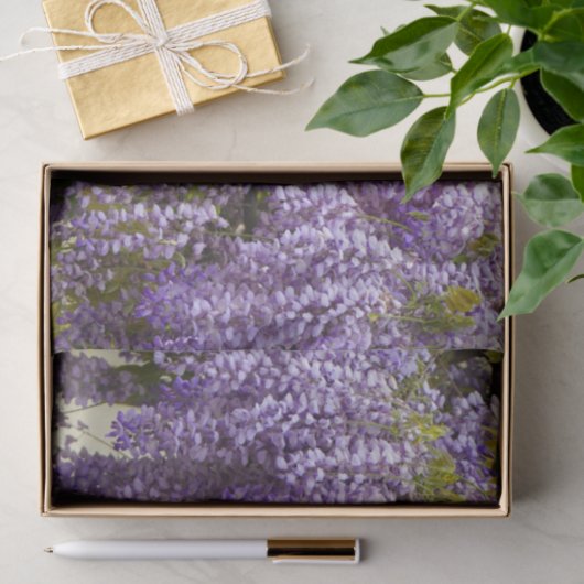 Papier Mousseline Fleurs de bisteria violet (Cadeau)
