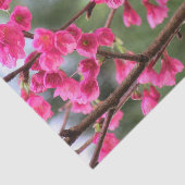 Papier Mousseline Fleurs de cerisier (Détail)
