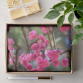 Papier Mousseline Fleurs de cerisier (Cadeau)