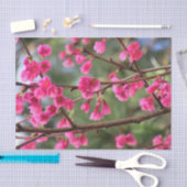 Papier Mousseline Fleurs de cerisier (Artisanat)