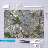 Papier Mousseline Fleurs de cerisiers 10lb Papier Tissu, Blanc (Artisanat)