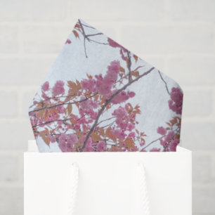 Papier Mousseline Fleurs de cerisiers rose printemps bleu ciel Hanam