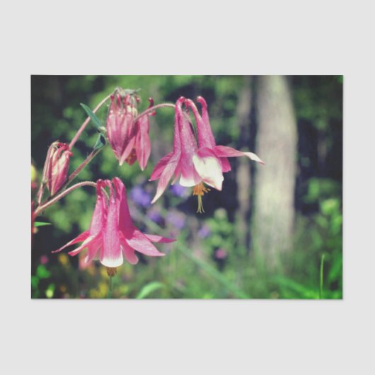 Papier Mousseline Fleurs de colonnes roses Gros plan Découpage (Recto)