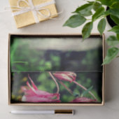 Papier Mousseline Fleurs de colonnes roses Gros plan Découpage (Cadeau)