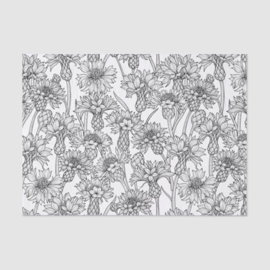 Papier Mousseline Fleurs de Cornflowers, fleurs sauvages en noir et  (Recto)