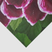 Papier Mousseline Fleurs de géranium Regal Élégant Maroon Floral Lug (Détail)