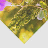 Papier Mousseline Fleurs de gloire violet sauvage du matin Découpage (Détail)