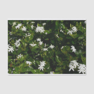 Papier Mousseline Fleurs de jasmin Botanique tropicale florale