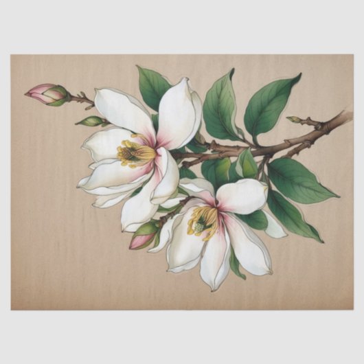 Papier Mousseline Fleurs de Magnolia (Recto)