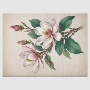 Papier Mousseline Fleurs de Magnolia