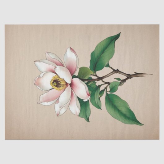 Papier Mousseline Fleurs de Magnolia (Recto)