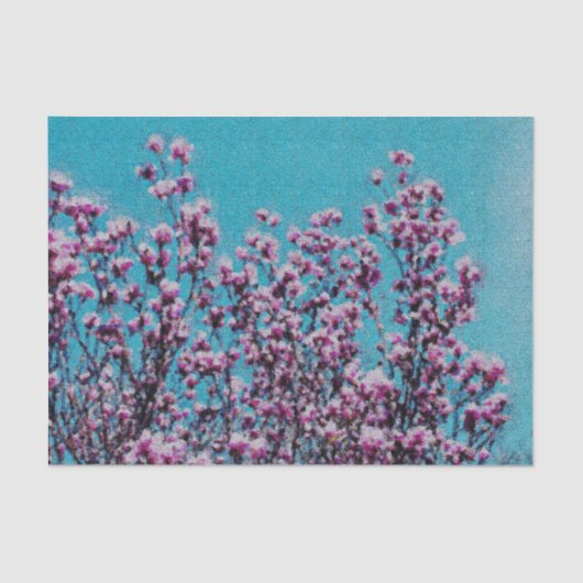 Papier Mousseline Fleurs de Magnolia rose Ciel bleu Découpage (Recto)