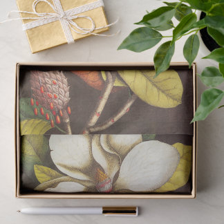 Papier Mousseline Fleurs de magnolia vintage avec graines
