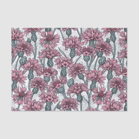 Papier Mousseline Fleurs de maïs roses, fleurs sauvages sur blanc (Recto)