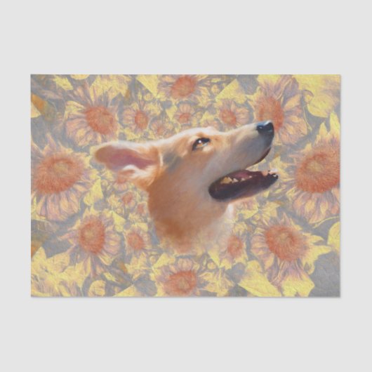 Papier Mousseline Fleurs de soleil de Boho Dog Cute Floral (Recto)