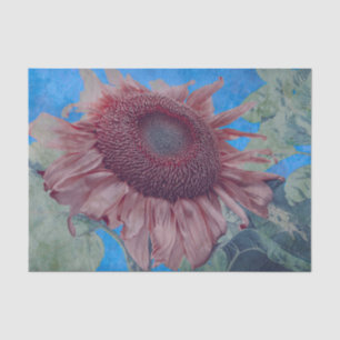 Papier Mousseline Fleurs de soleil géantes Pays rose bleu découpage