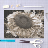 Papier Mousseline Fleurs de soleil géantes Sepia rustique Tone Vinta (Artisanat)