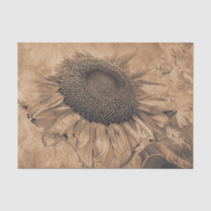 Papier Mousseline Fleurs de soleil géantes Vintage Sepia Brown Décou
