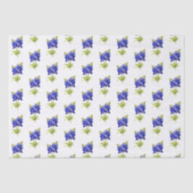 Fleurs de Texas Bluebonnets,