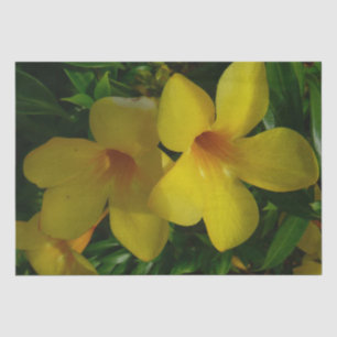 Papier Mousseline Fleurs de trompette d'or II Tropical