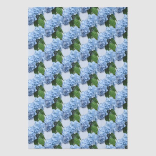 Papier Mousseline Fleurs d'Hydrangée réelles (Recto)
