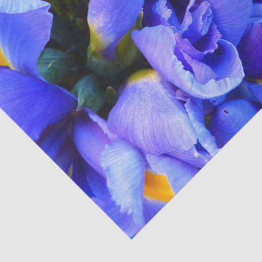 Papier Mousseline Fleurs d'Iris bleus (Détail)