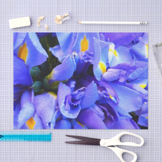 Papier Mousseline Fleurs d'Iris bleus (Artisanat)