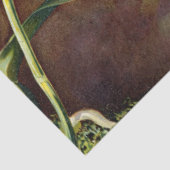 Papier Mousseline Fleurs d'orchidées tropicales Papier de tissus flo (Détail)