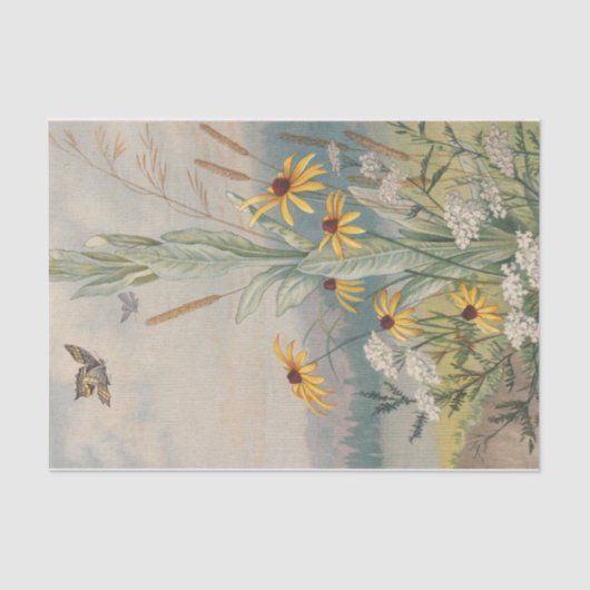 Papier Mousseline Fleurs du pré par Louis Prang (Recto)