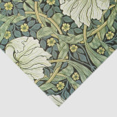 Papier Mousseline Fleurs Jaunes Pimpernel William Morris (Détail)