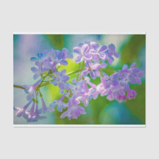 Papier Mousseline Fleurs Lilac Violettes (Recto)