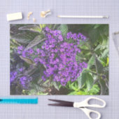 Papier Mousseline Fleurs lilas violettes sauvages printemps sauge ve (Artisanat)