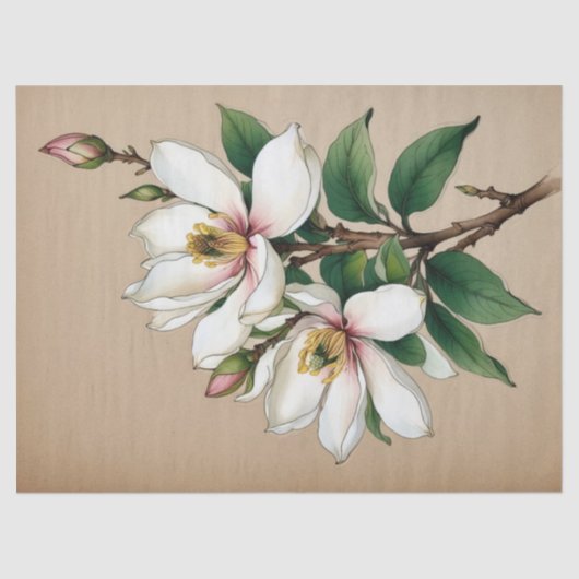 Papier Mousseline Fleurs Magnolia (Recto)