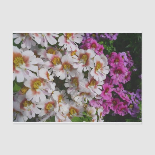 Papier Mousseline Fleurs papillon rose blanc et violet (Recto)