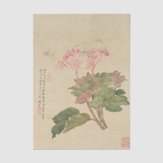 Papier Mousseline Fleurs Pl. 09 par Liang Yuwei (Recto)