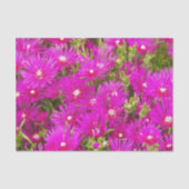 Papier Mousseline Fleurs Plantes de glace rose Floral (Recto)