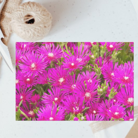Papier Mousseline Fleurs Plantes de glace rose Floral