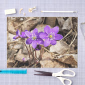Papier Mousseline Fleurs pourpres Hepatica (Artisanat)
