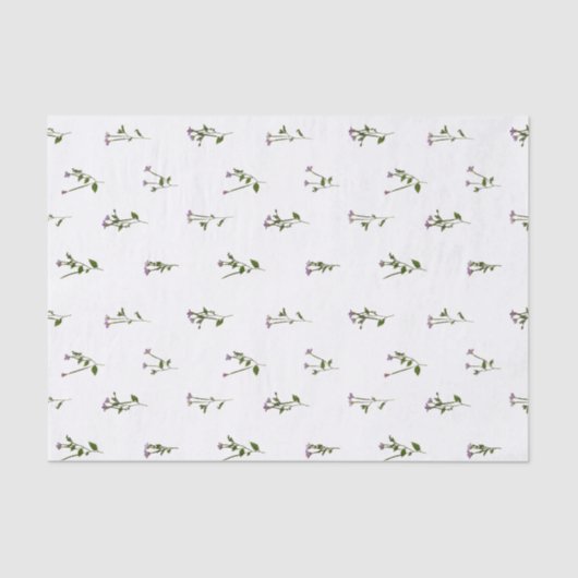 Papier Mousseline FLEURS PRÉLEVÉES - Willowherb de poulet - Open (Recto)