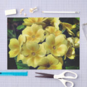 Papier Mousseline Fleurs printanières de Primrose Jaune Gros plan Dé (Artisanat)