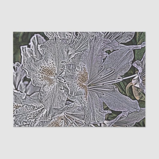 PAPIER MOUSSELINE FLEURS RHODODENDRON (Recto)