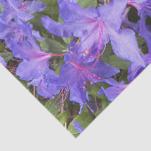 Papier Mousseline Fleurs Rhododendron Violet Floral (Détail)